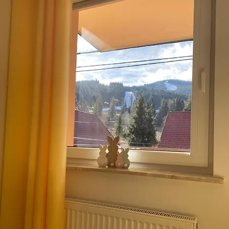 Apartment Pod Rudka Czarna Gora