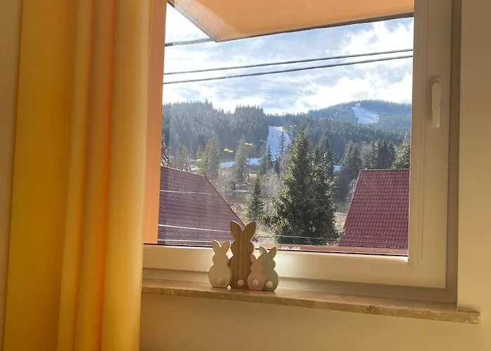 Apartmán Pod Rudka Czarna Gora